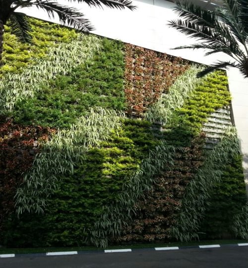 صورة واتساب بتاريخ 2025-03-19 في 13.27.03_d483c064