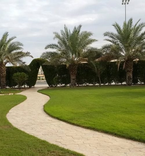 صورة واتساب بتاريخ 2025-05-03 في 14.54.07_0a3a551f